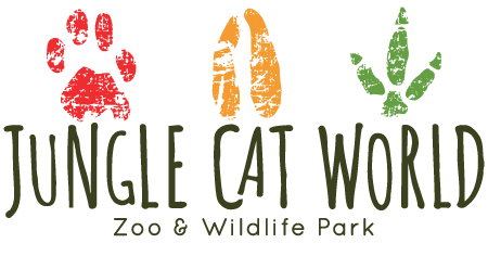 Jungle Cat World logo redesign